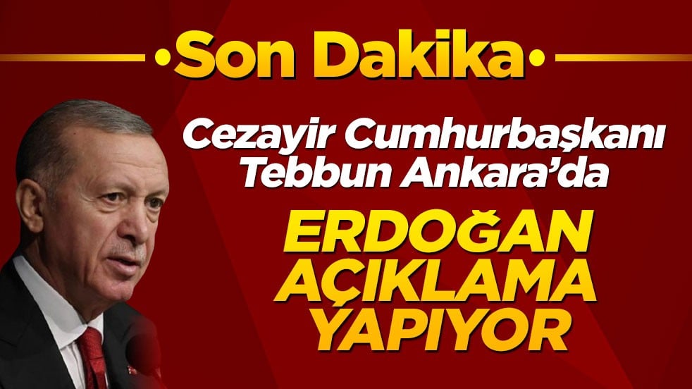 Cumhurbaşkanı Erdoğan açıklamalarda bulunuyor