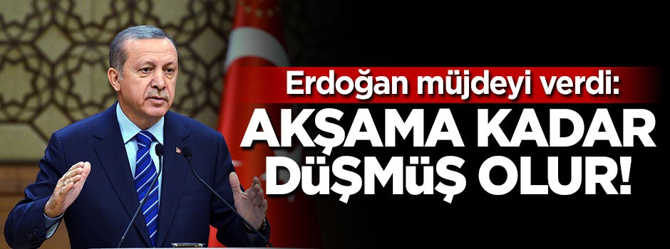 Cumhurbaşkanı Erdoğan: Afrin akşama kadar düşmüş olur