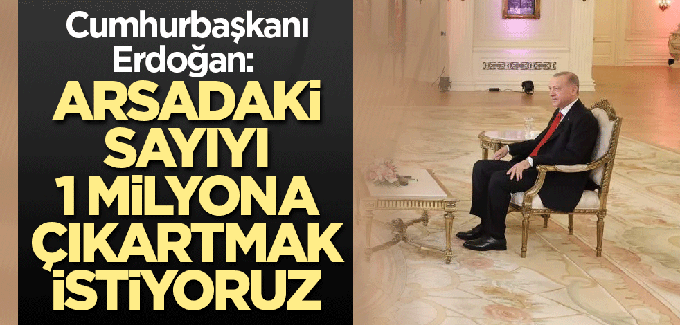 Cumhurbaşkanı Erdoğan: Arsadaki sayıyı 1 milyona çıkartmak istiyoruz
