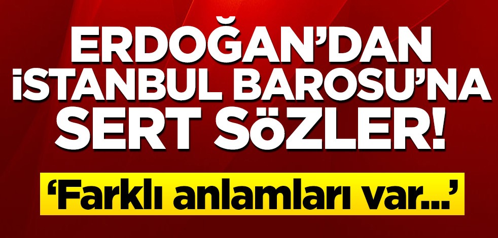 Cumhurbaşkanı Erdoğan barolara 'Ebru Timtik' tepkisi: Farklı anlamları var