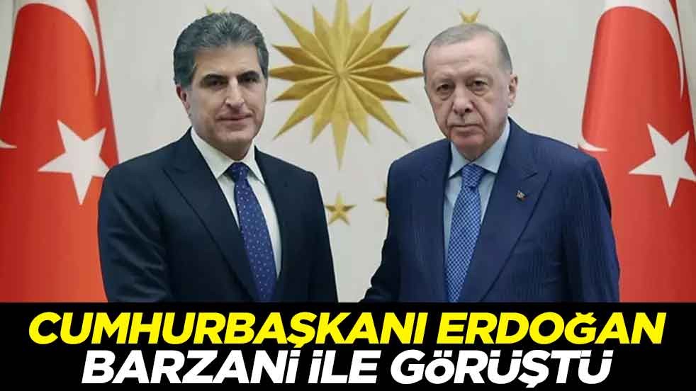 Cumhurbaşkanı Erdoğan, Barzani ile görüştü