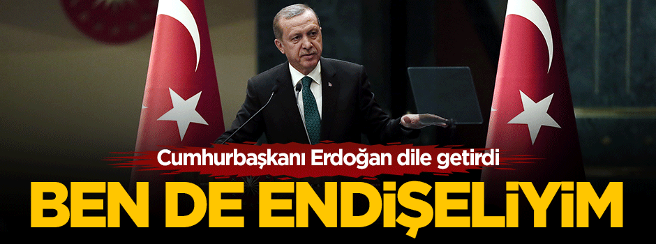Cumhurbaşkanı Erdoğan: Ben de o konuda endişeliyim