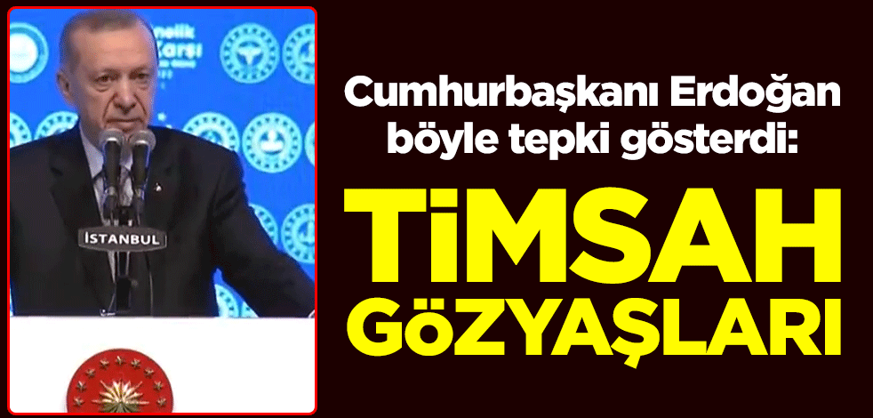Cumhurbaşkanı Erdoğan böyle tepki gösterdi: Timsah gözyaşları
