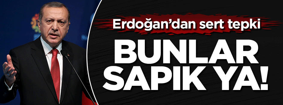 Cumhurbaşkanı Erdoğan: Bunlar sapık ya!