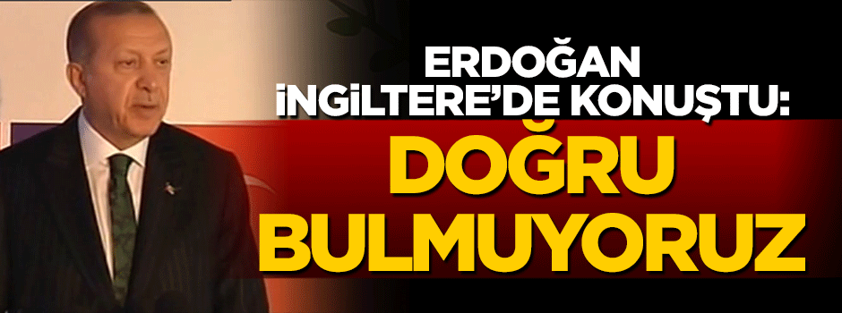 Cumhurbaşkanı Erdoğan: Bunu doğru bulmuyoruz