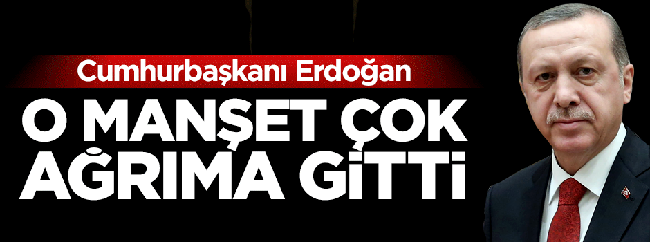 Cumhurbaşkanı Erdoğan: Çok ağrıma gitti