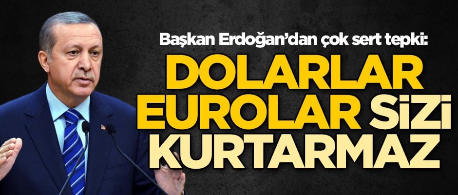 Cumhurbaşkanı Erdoğan: Dolarlar, aurolar sizi kurtarmaz