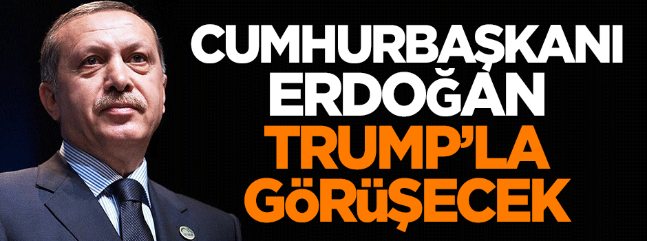 Cumhurbaşkanı Erdoğan, Donald Trump'la görüşecek