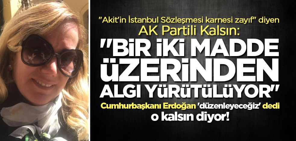 Cumhurbaşkanı Erdoğan 'düzenleyeceğiz' dedi, AK Partili Kalsın itiraz etti!