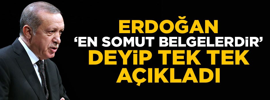 Cumhurbaşkanı Erdoğan 'En somut örneklerdir' deyip tek tek açıkladı