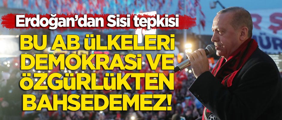 Cumhurbaşkanı Erdoğan: Sisi'nin davetine katılan AB demokrasi ve özgürlükten bahsedemez!