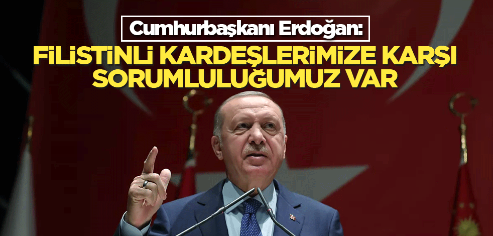 Cumhurbaşkanı Erdoğan: Filistinli kardeşlerimize karşı sorumluluğumuz var