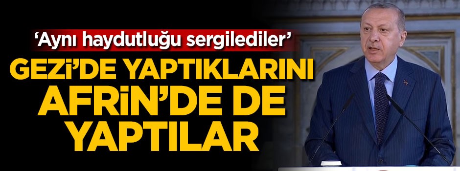 Cumhurbaşkanı Erdoğan: Gezi'de yaptıklarını Afrin'de de yaptılar