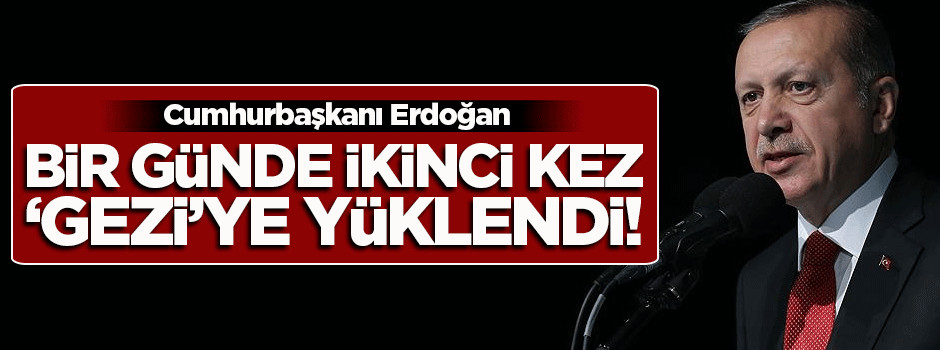 Cumhurbaşkanı Erdoğan ikinci kez 'gezi'ye yüklendi!