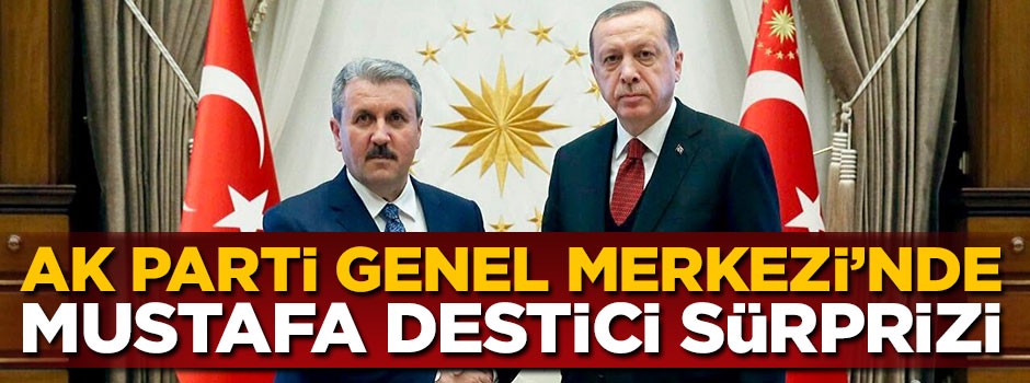 Cumhurbaşkanı Erdoğan ile Mustafa Destici arasında görüşme