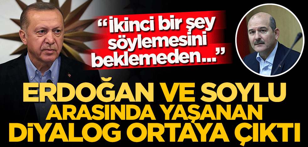 Cumhurbaşkanı Erdoğan ile Süleyman Soylu arasında yaşanan diyalog ortaya çıktı