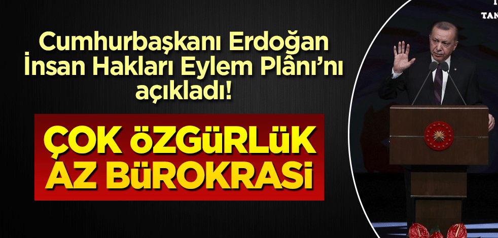 Cumhurbaşkanı Erdoğan İnsan Hakları Eylem Plânı’nı açıkladı! Çok özgürlük az bürokrasi