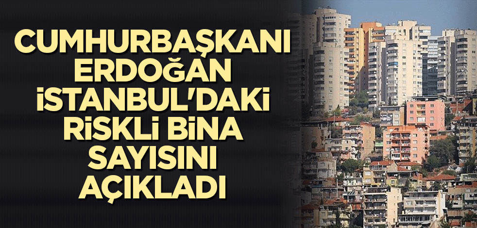 Cumhurbaşkanı Erdoğan İstanbul'daki riskli bina sayısını açıkladı