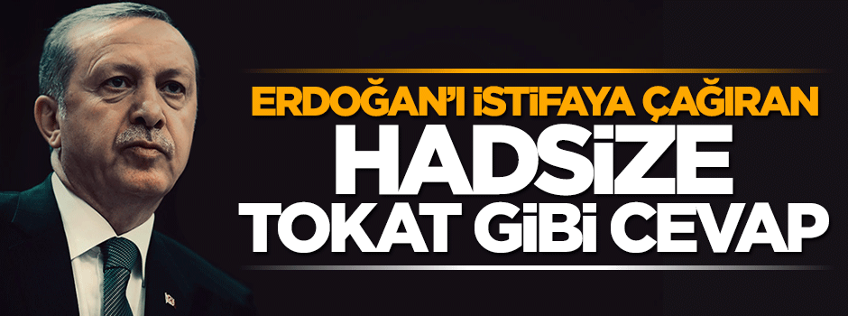 Cumhurbaşkanı Erdoğan'a istifa çağrısı yapan hadsize tokat gibi cevap