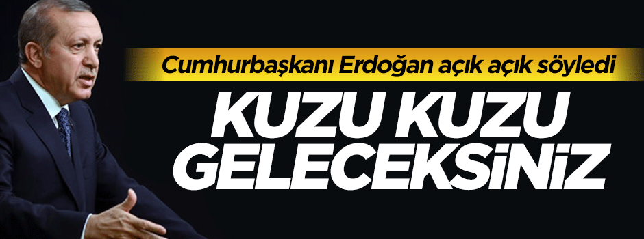 Cumhurbaşkanı Erdoğan: Kuzu kuzu geleceksiniz