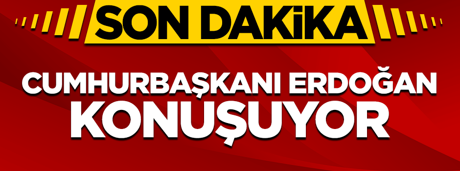 Cumhurbaşkanı Erdoğan: Bedelini ağır ödeyecekler
