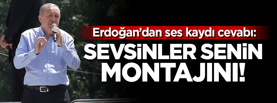 Cumhurbaşkanı Erdoğan: Sevsinler senin montajını