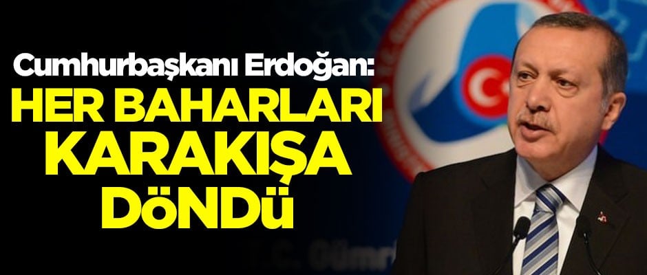 Cumhurbaşkanı Erdoğan: Baharları karakışa döndü