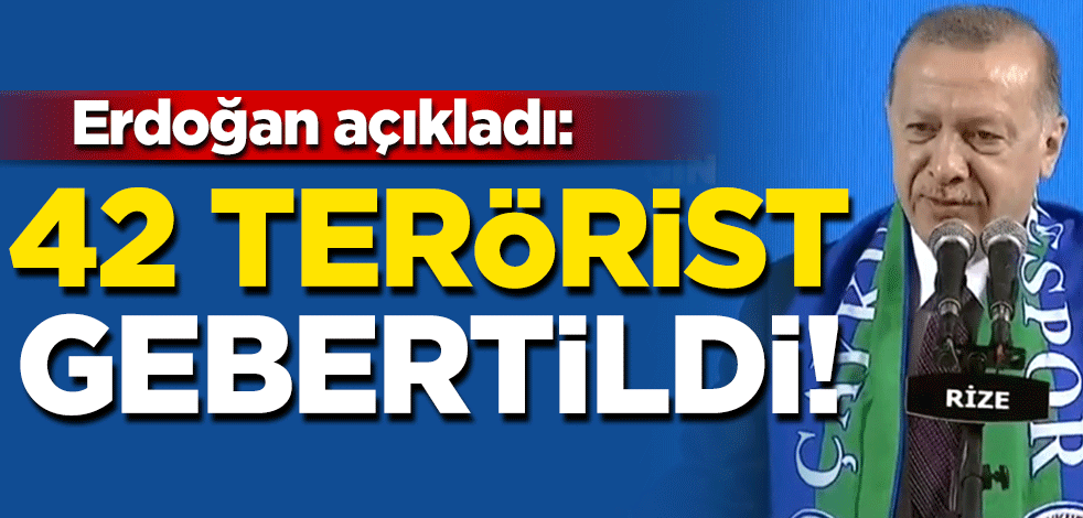 Cumhurbaşkanı Erdoğan açıkladı: 42 terörist gebertildi