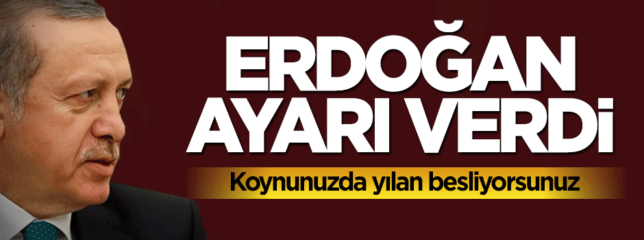 Cumhurbaşkanı Erdoğan: Koynunuzda yılan besliyorsunuz