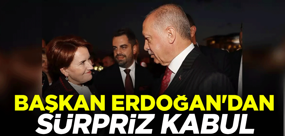 Cumhurbaşkanı Erdoğan, Meral Akşener'i kabul edecek