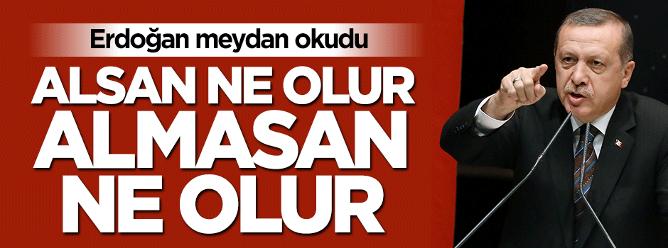 Cumhurbaşkanı Erdoğan meydan okudu: Alsan ne olur almasan ne olur