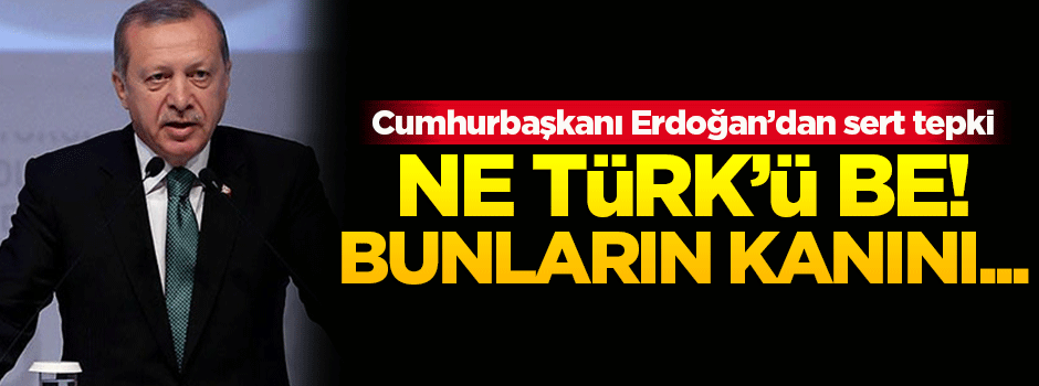 Cumhurbaşkanı Erdoğan: Ne Türk'ü be?