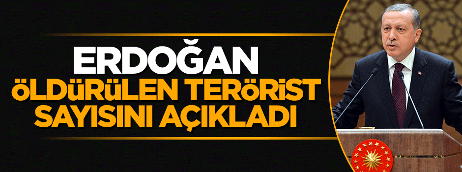 Cumhurbaşkanı Erdoğan öldürülen terörist sayısını açıkladı