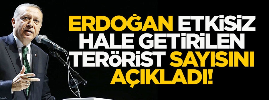 Cumhurbaşkanı Erdoğan öldürülen terörist sayısını açıkladı