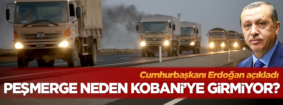 Peşmerge Kobani'ye neden girmiyor?