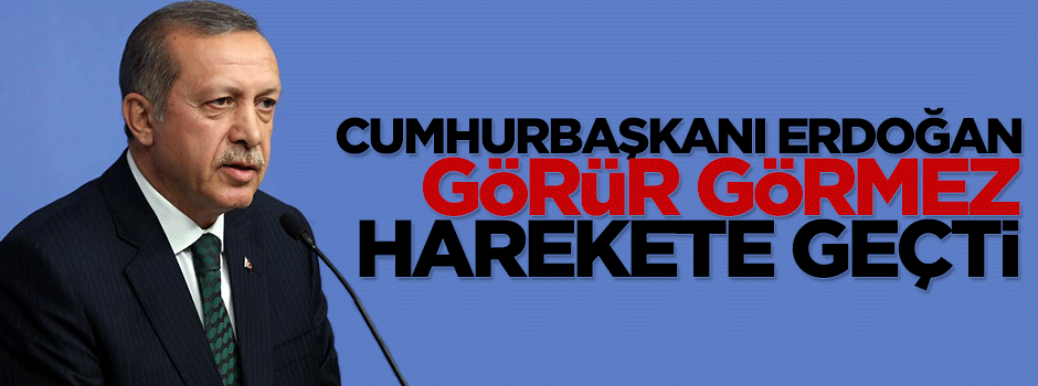 Cumhurbaşkanı Erdoğan raporu görür görmez harekete geçti