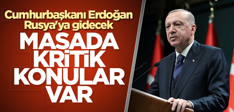 Cumhurbaşkanı Erdoğan, Rusya'ya gidecek! İşte masadaki konular