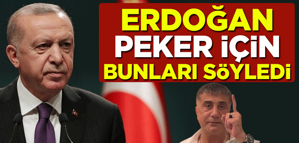 Cumhurbaşkanı Erdoğan Sedat Peker için bunları söyledi