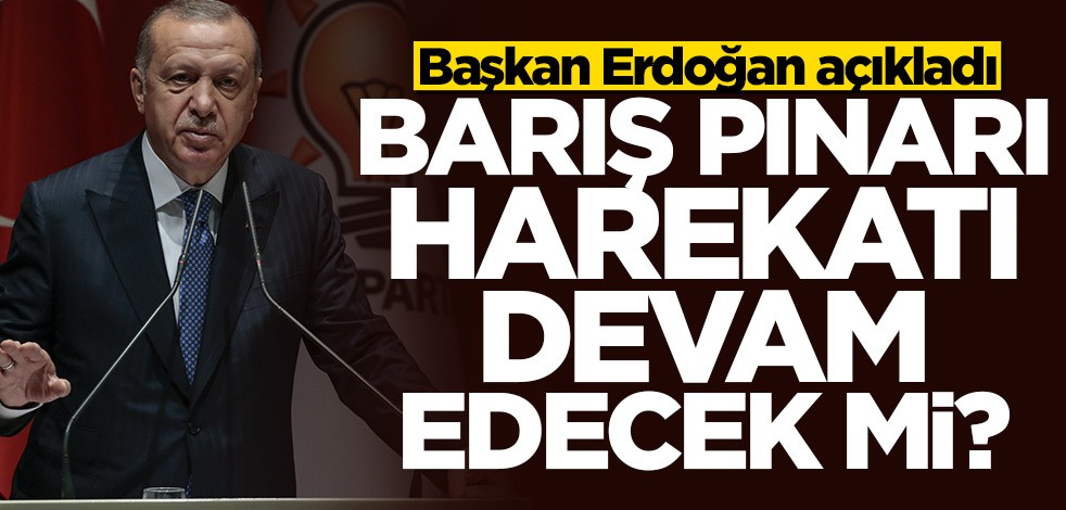 Cumhurbaşkanı Erdoğan'dan Barış Pınarı Harekatı mesajı