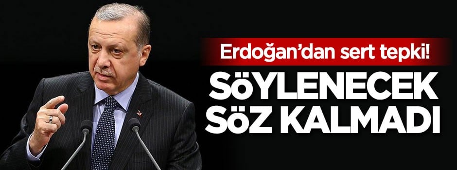 Cumhurbaşkanı Erdoğan: Söylenecek söz kalmadı