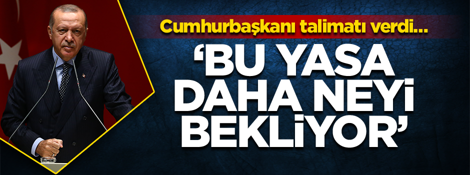 Cumhurbaşkanı Erdoğan talimatı verdi… ‘Bu yasa daha neyi bekliyor’