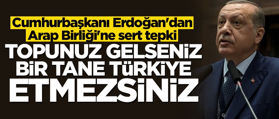 Cumhurbaşkanı Erdoğan: Topunuz gelseniz Türkiye etmezsiniz