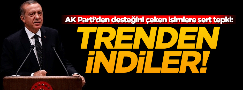 Reis-i Cumhur Erdoğan: Trenden indiler