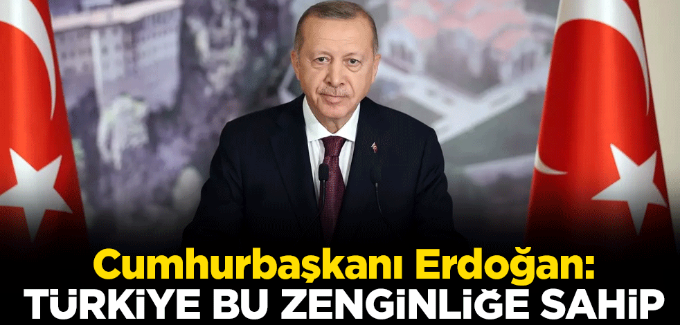 Cumhurbaşkanı Erdoğan: Türkiye başkalarının tavsiyelerine ihtiyaç duymayacak kadar zenginliğe sahip