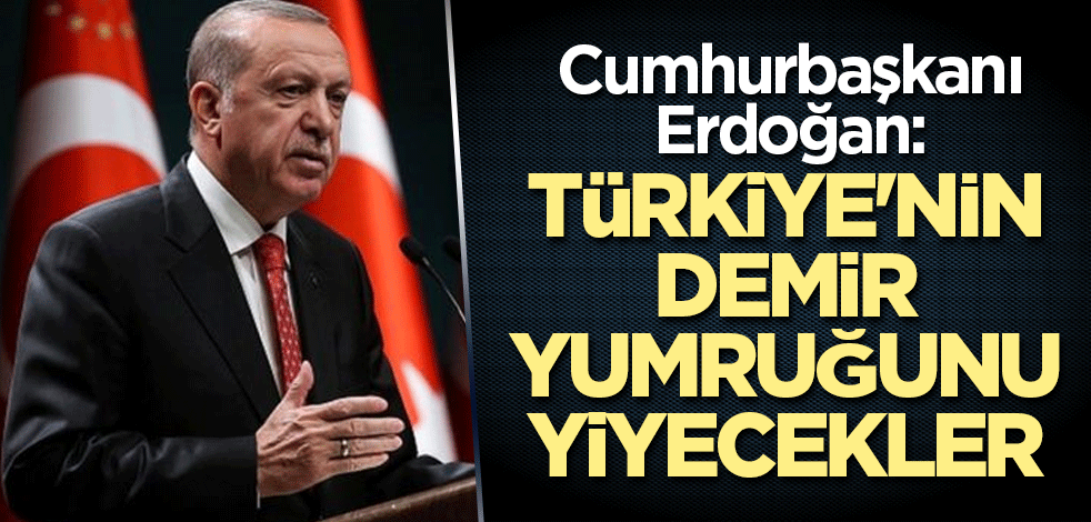 Cumhurbaşkanı Erdoğan: Türkiye'nin demir yumruğunu yiyecekler