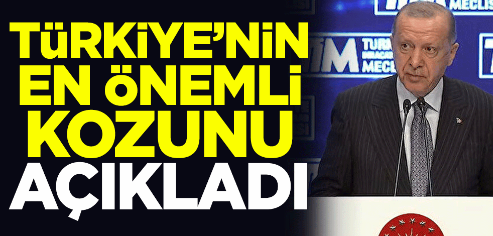 Cumhurbaşkanı Erdoğan Türkiye'nin en önemli kozunu açıkladı