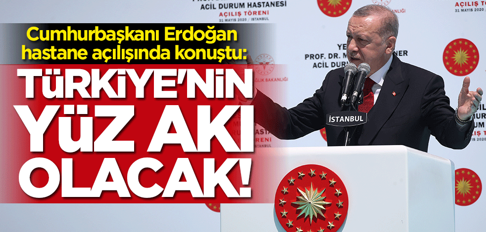 Cumhurbaşkanı Erdoğan: Türkiye'nin yüz akı olacak