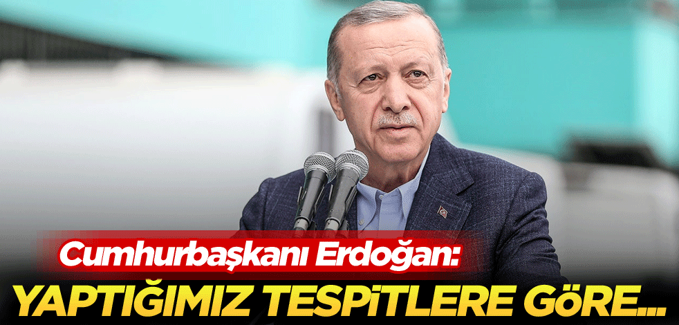 Cumhurbaşkanı Erdoğan: Yaptığımız tespitlere göre...