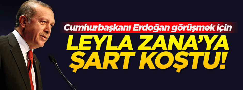 Cumhurbaşkanı Erdoğan, Zana şartını açıkladı!