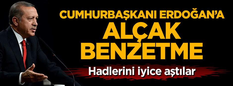 Cumhurbaşkanı Erdoğan'a alçak benzetme